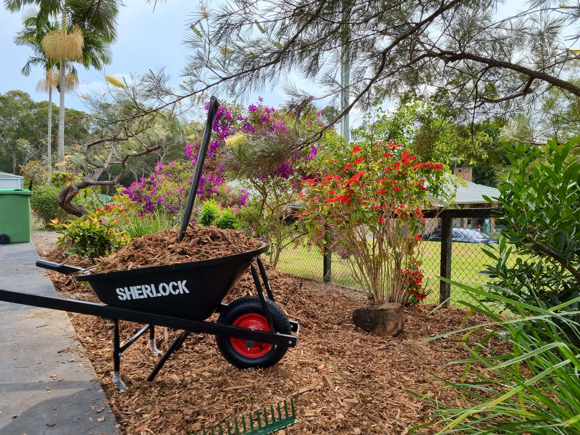 Mulched garden bed with dark bark mulch around healthy plants in a sunny backyard