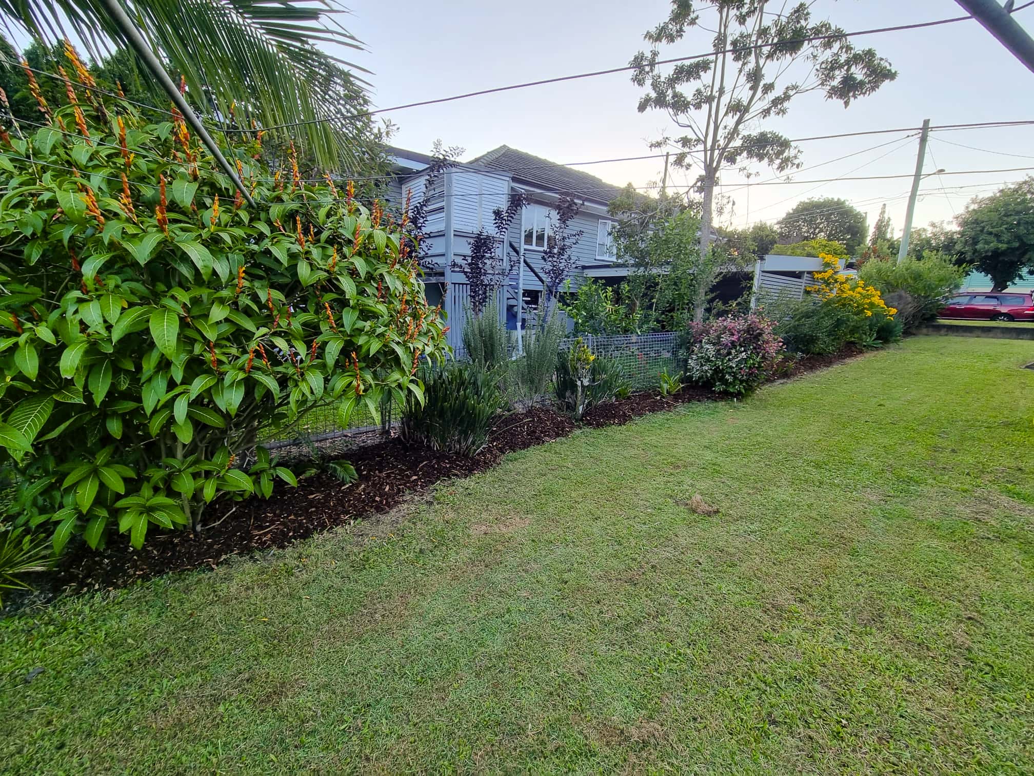 Gardener clearing weeds and green waste from a garden bed during cleanup