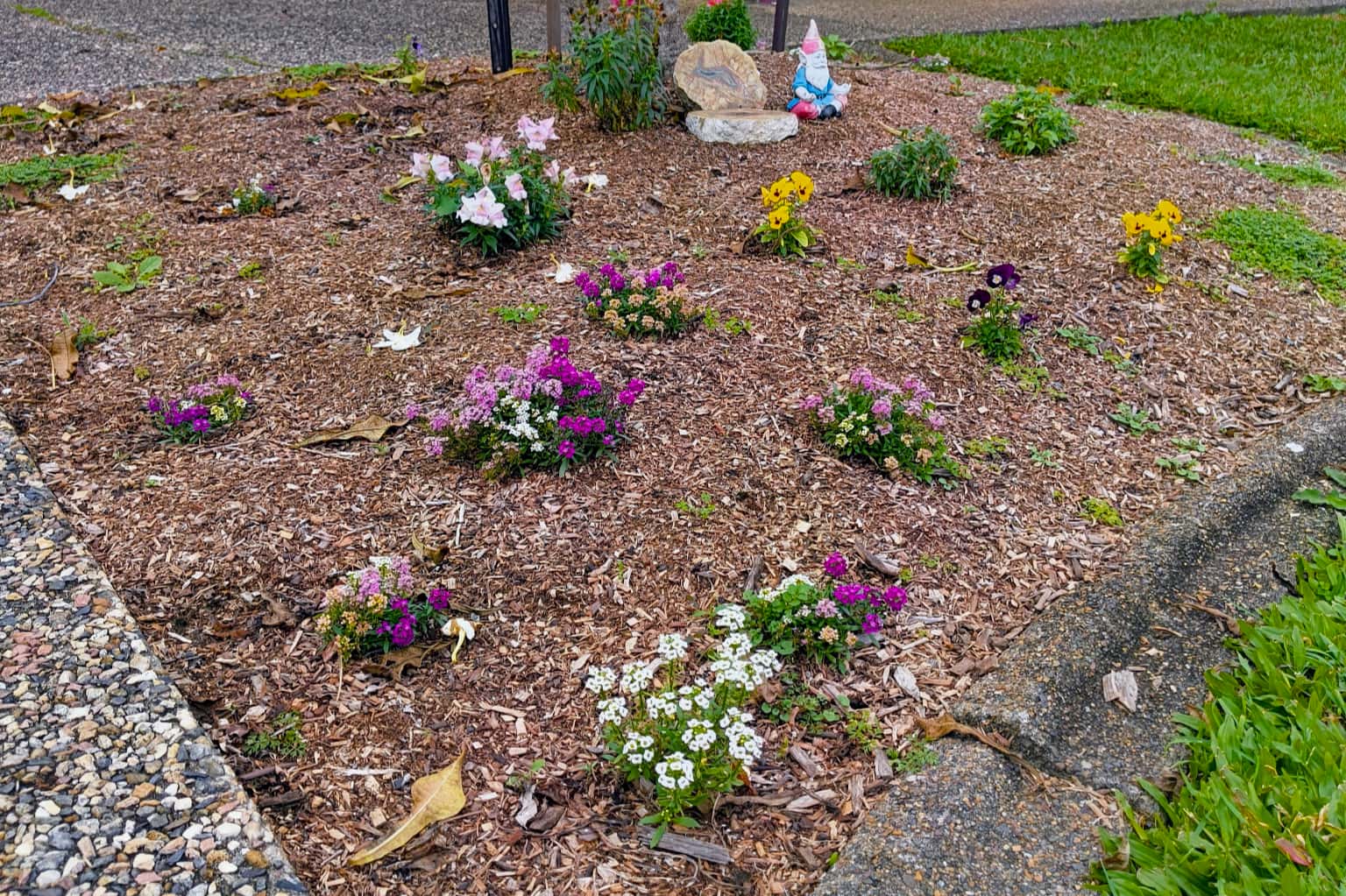 Gardener applying fertilizer to flowering plants in a tidy bed with a calm, productive garden atmosphere