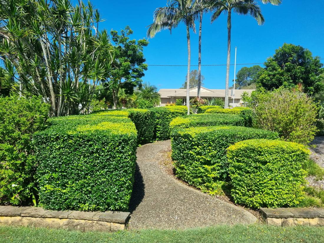 After view of crisp shaped topiary hedges in a formal garden layout