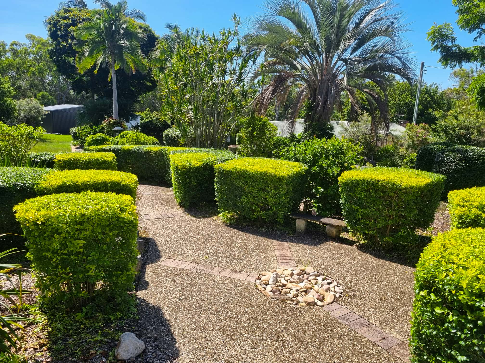 Neatly shaped hedge bordering a planted garden bed
